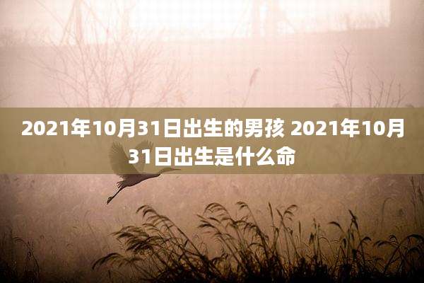 2021年10月31日出生的男孩 2021年10月31日出生是什么命