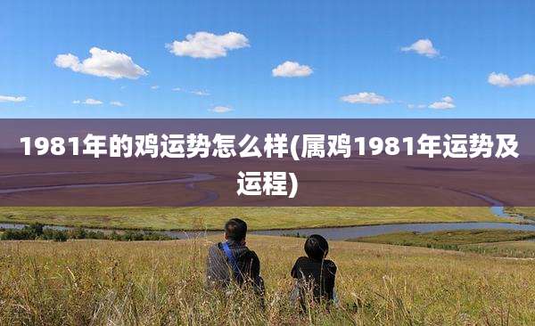 1981年的鸡运势怎么样(属鸡1981年运势及运程)