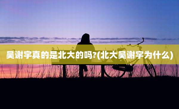 吴谢宇真的是北大的吗?(北大吴谢宇为什么)