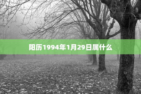 阳历1994年1月29日属什么