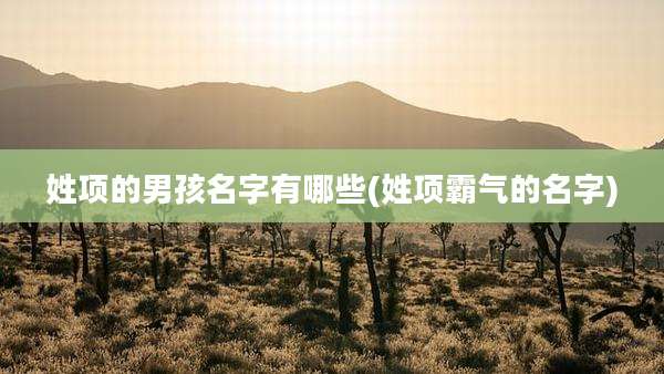 姓项的男孩名字有哪些(姓项霸气的名字)