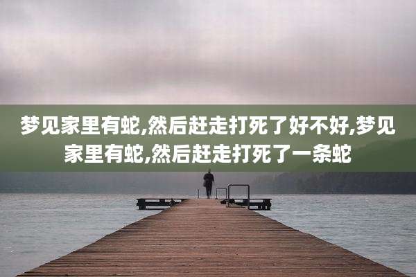 梦见家里有蛇,然后赶走打死了好不好,梦见家里有蛇,然后赶走打死了一条蛇