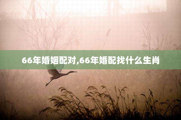 66年婚姻配对,66年婚配找什么生肖