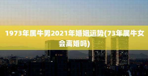 1973年属牛男2021年婚姻运势(73年属牛女会离婚吗)