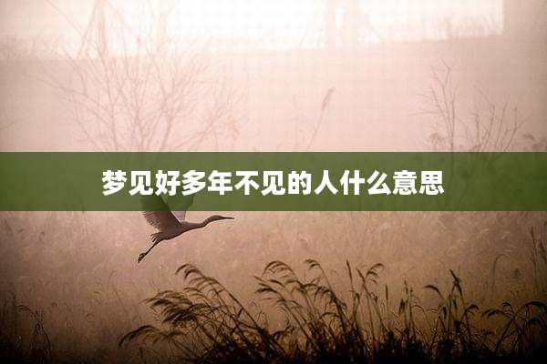 梦见好多年不见的人什么意思