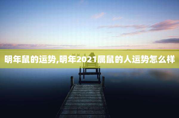 明年鼠的运势,明年2021属鼠的人运势怎么样