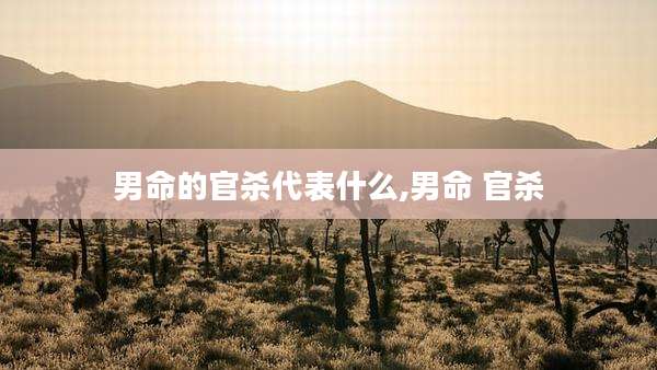 男命的官杀代表什么,男命 官杀