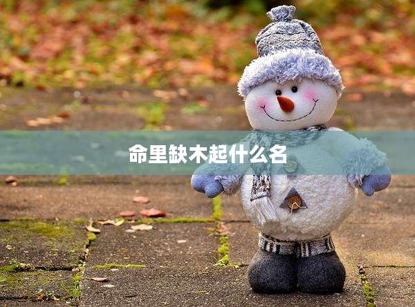 命里缺木起什么名