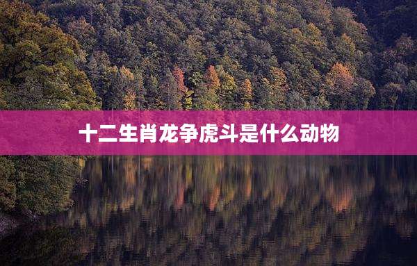 十二生肖龙争虎斗是什么动物