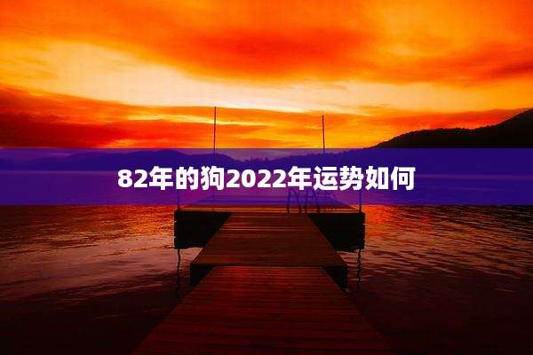 82年的狗2022年运势如何