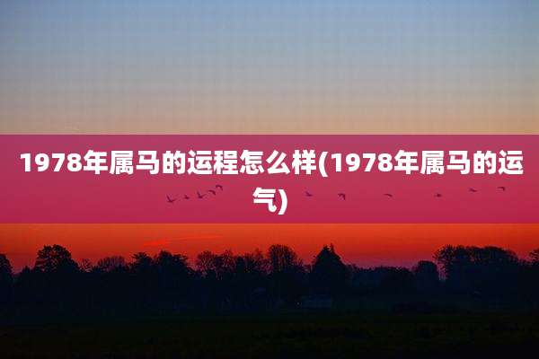 1978年属马的运程怎么样(1978年属马的运气)