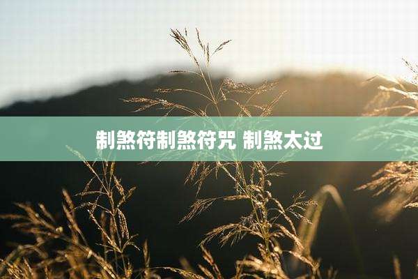 制煞符制煞符咒 制煞太过
