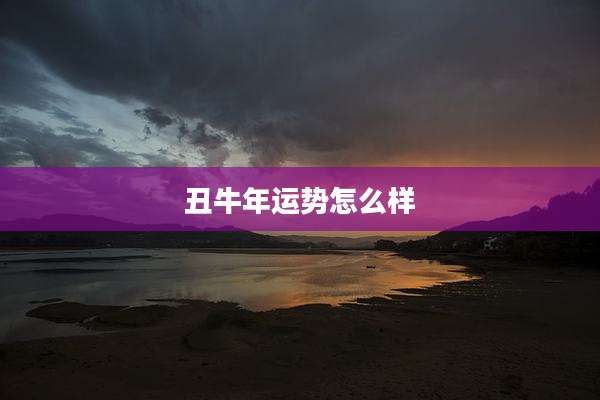 丑牛年运势怎么样