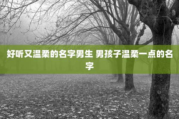 好听又温柔的名字男生 男孩子温柔一点的名字