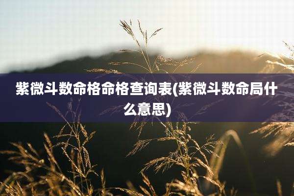紫微斗数命格命格查询表(紫微斗数命局什么意思)