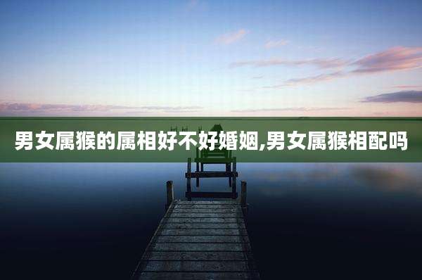 男女属猴的属相好不好婚姻,男女属猴相配吗