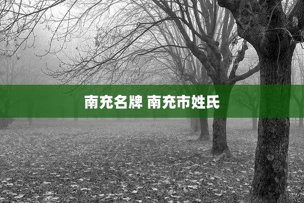南充名牌 南充市姓氏