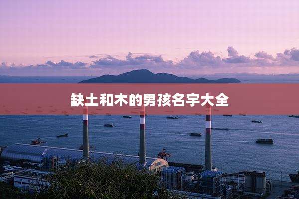 缺土和木的男孩名字大全