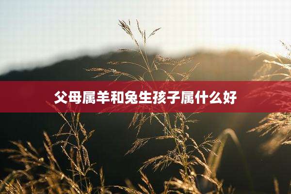 父母属羊和兔生孩子属什么好