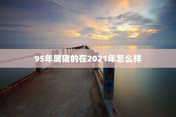 95年属猪的在2021年怎么样