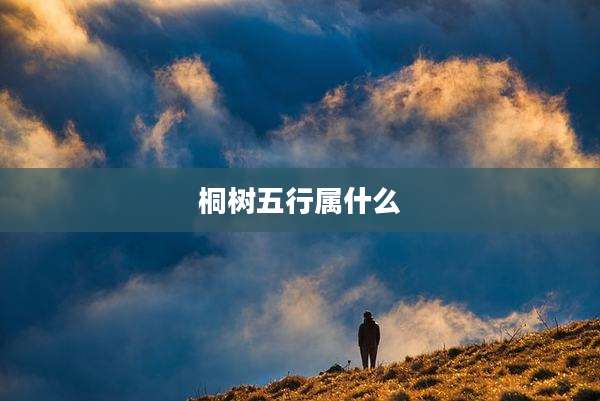 桐树五行属什么