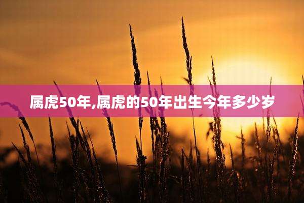 属虎50年,属虎的50年出生今年多少岁