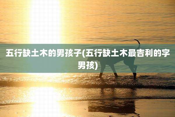 五行缺土木的男孩子(五行缺土木最吉利的字男孩)