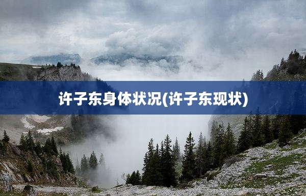 许子东身体状况(许子东现状)
