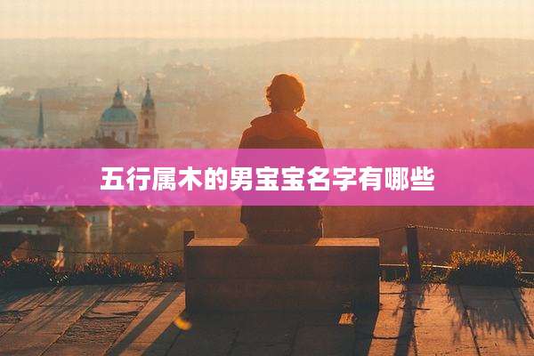 五行属木的男宝宝名字有哪些