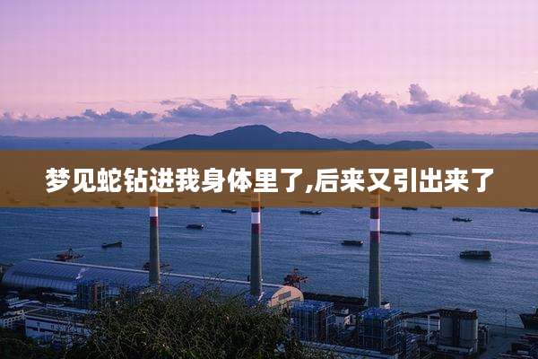 梦见蛇钻进我身体里了,后来又引出来了