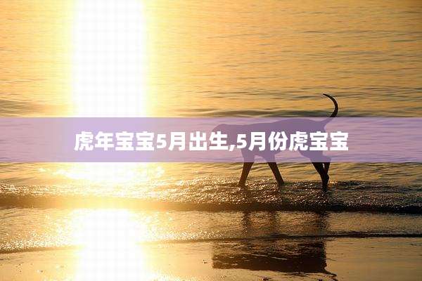 虎年宝宝5月出生,5月份虎宝宝