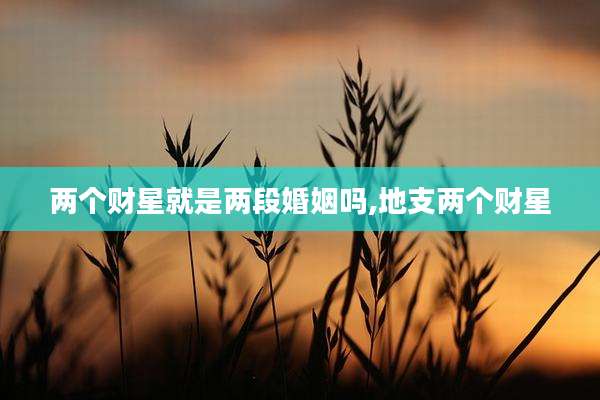 两个财星就是两段婚姻吗,地支两个财星