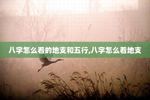八字怎么看的地支和五行,八字怎么看地支
