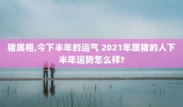 猪属相,今下半年的运气 2021年属猪的人下半年运势怎么样?