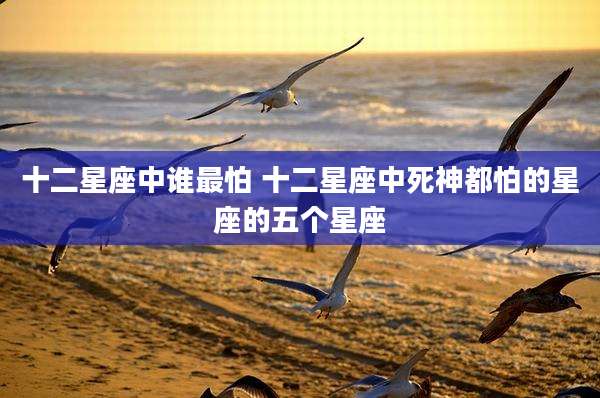 十二星座中谁最怕 十二星座中死神都怕的星座的五个星座