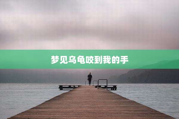 梦见乌龟咬到我的手