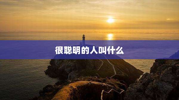 很聪明的人叫什么