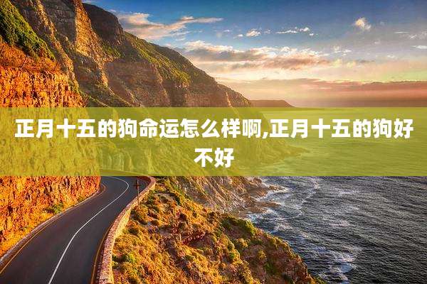 正月十五的狗命运怎么样啊,正月十五的狗好不好