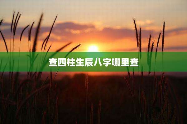 查四柱生辰八字哪里查