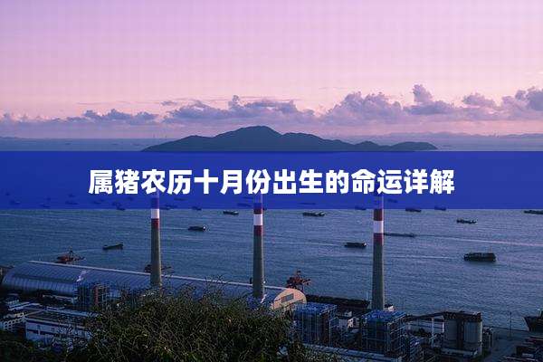 属猪农历十月份出生的命运详解