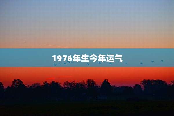 1976年生今年运气