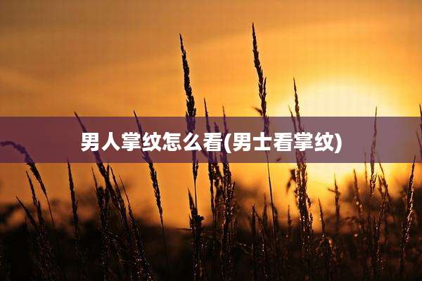 男人掌纹怎么看(男士看掌纹)