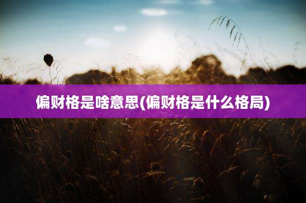 偏财格是啥意思(偏财格是什么格局)
