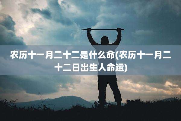农历十一月二十二是什么命(农历十一月二十二日出生人命运)