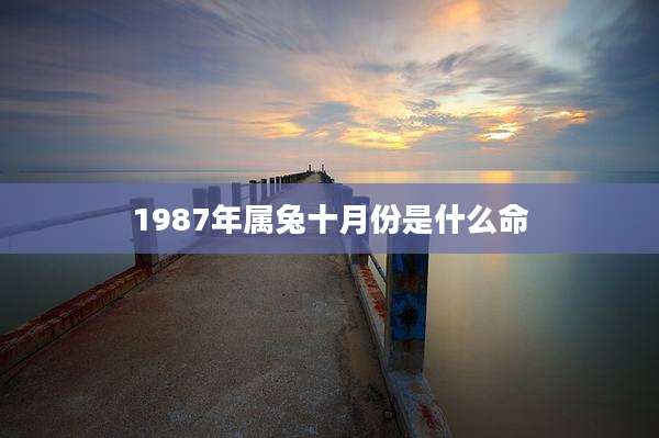 1987年属兔十月份是什么命
