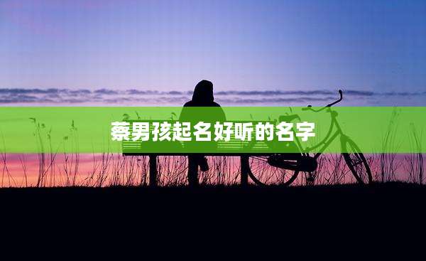 蔡男孩起名好听的名字