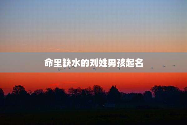 命里缺水的刘姓男孩起名