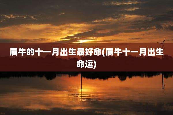 属牛的十一月出生最好命(属牛十一月出生命运)