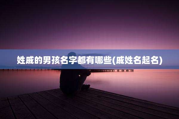 姓戚的男孩名字都有哪些(戚姓名起名)