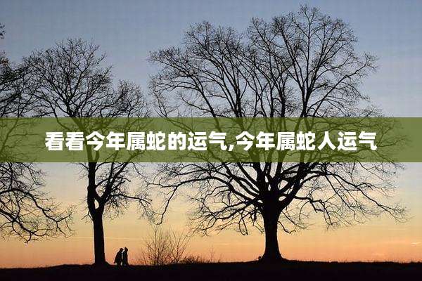看看今年属蛇的运气,今年属蛇人运气